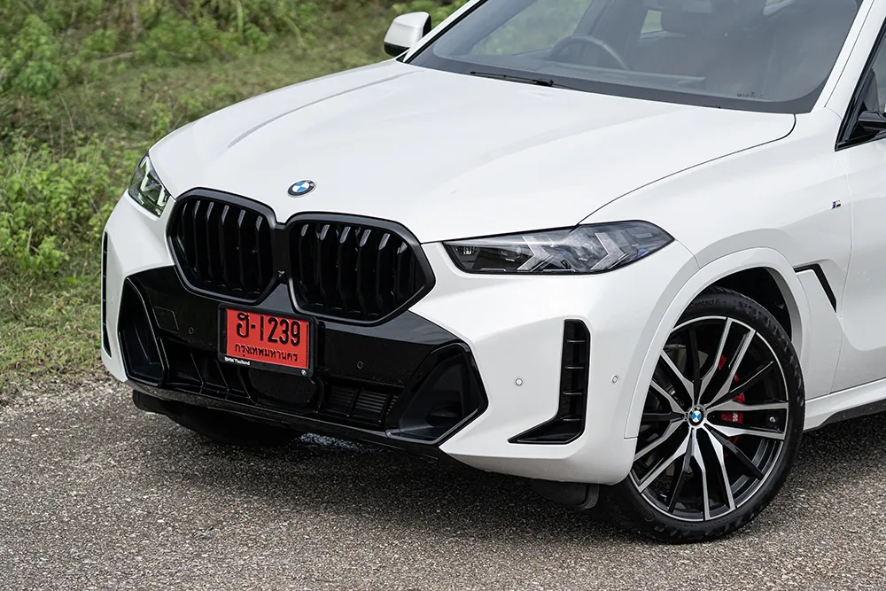BMW X6