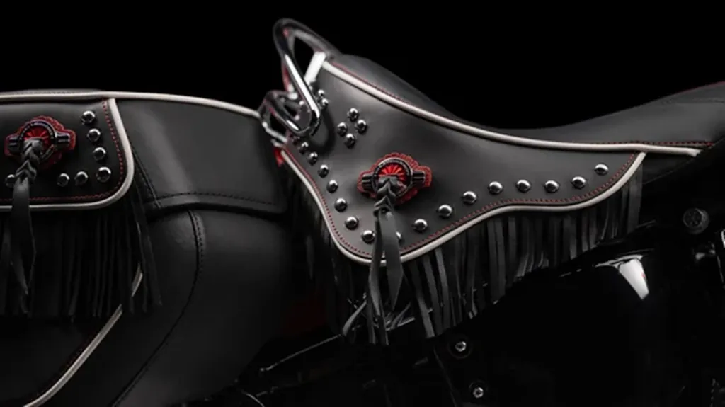 Harley Davidson Softail photo 4