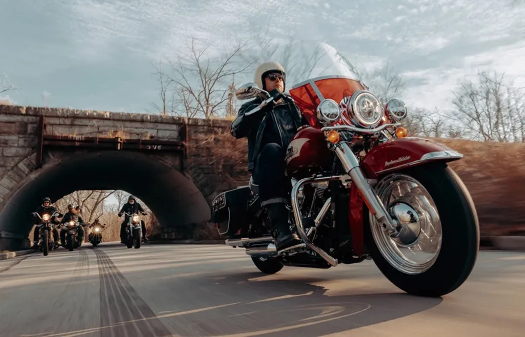 Harley Davidson Softail photo 2