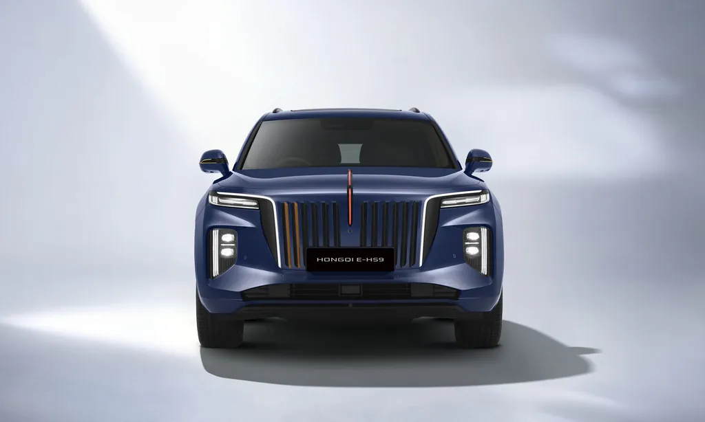 Hongqi E HS9 photo 5
