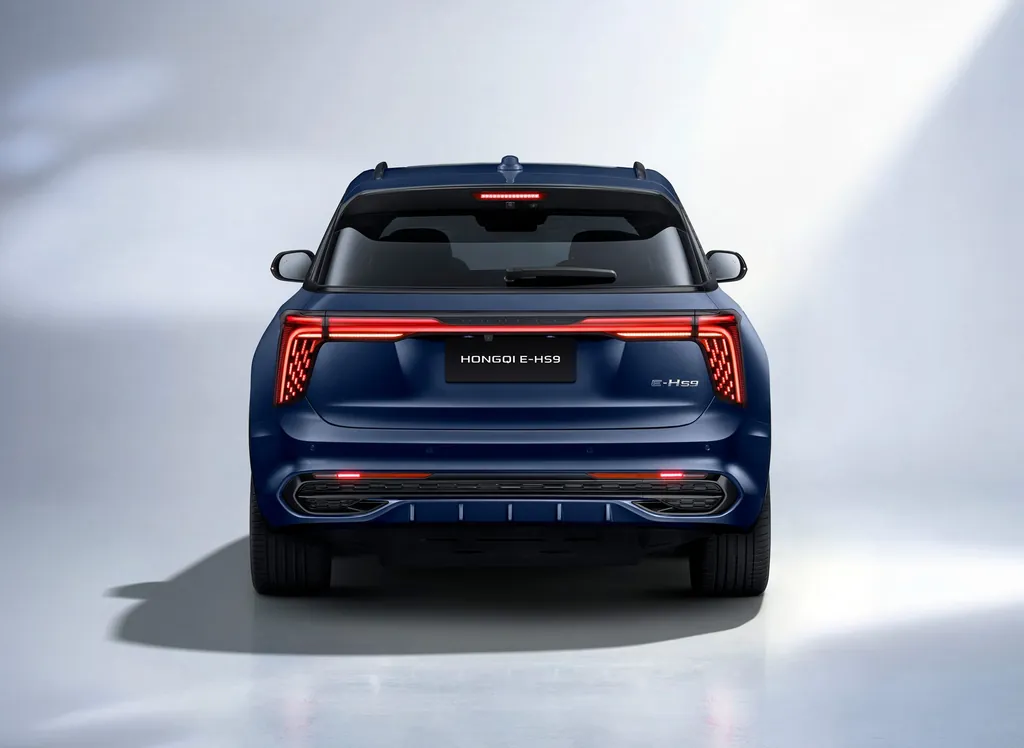 Hongqi E HS9 photo 6