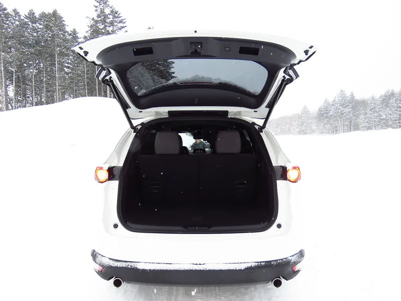Mazda CX-8 photo 3