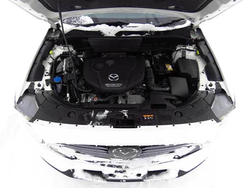 Mazda CX-8 photo 5
