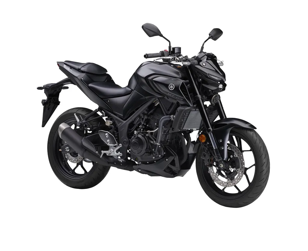 Yamaha Mt 03 photo 2