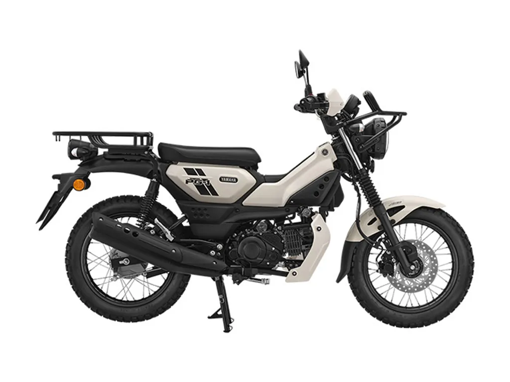 Yamaha Pg 1 photo 5